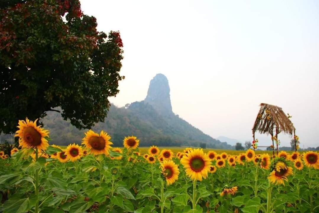 Pee Homestay Lopburi Ban Tha Krayang エクステリア 写真