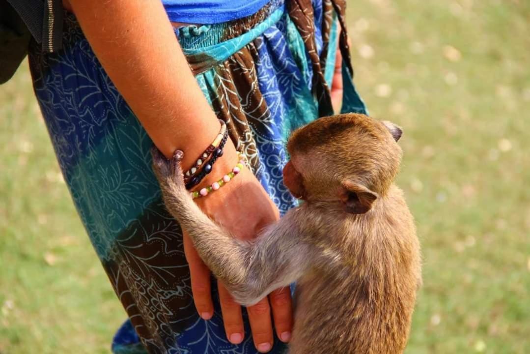 Pee Homestay Lopburi Ban Tha Krayang エクステリア 写真