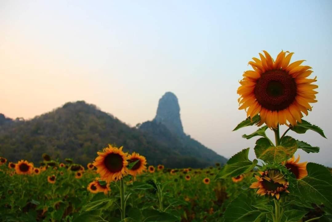 Pee Homestay Lopburi Ban Tha Krayang エクステリア 写真