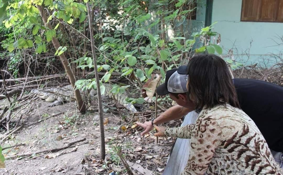 Pee Homestay Lopburi Ban Tha Krayang エクステリア 写真